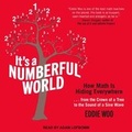 Cover: It's a Numberful World - Tantor Audio