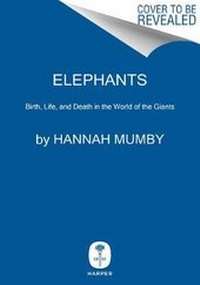 Abbildung von: Elephants - Collins