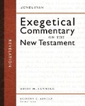 Cover: Revelation - Zondervan Academic