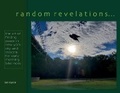 Cover: Randon Revelations - Bookbaby