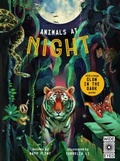 Cover: Glow in the Dark: Animals at Night - Wide Eyed Editions