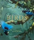 Cover: Birds - Welbeck