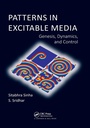 Cover: Patterns in Excitable Media - CRC Press