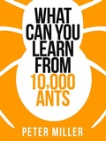Cover: What You Can Learn From 10,000 Ants - Collins