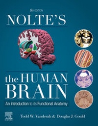 Abbildung von: Nolte's The Human Brain E-Book - Elsevier
