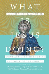 Enlarge image Cover: What Is Jesus Doing? - God`s Activity in the Life and Work of the Church - IVP Academic