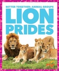 Cover: Lion Prides - Pogo Books