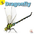 Cover: Dragonfly - Ready Readers