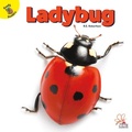 Cover: Ladybug - Ready Readers