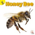 Cover: Honey Bee - Ready Readers
