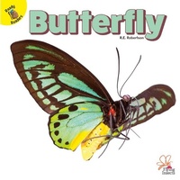 Enlarge image Cover: Butterfly - Ready Readers