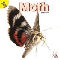 Enlarge image Cover: Moth - Ready Readers