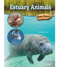 Enlarge image Cover: Estuary Animals - Bridges