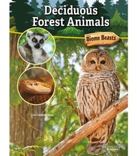 Enlarge image Cover: Deciduous Forest Animals - Bridges