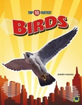 Cover: Birds - Escape