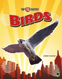 Enlarge image Cover: Birds - Escape
