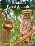 Cover: Deciduous Forest Animals - Bridges