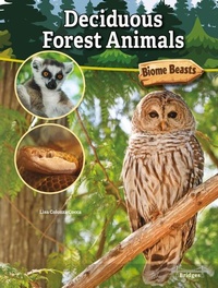 Enlarge image Cover: Deciduous Forest Animals - Bridges