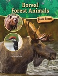 Cover: Boreal Forest Animals - Bridges