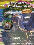 Cover: Freshwater Pond Animals - Bridges