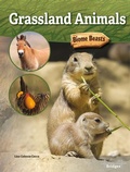 Cover: Grassland Animals - Bridges