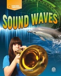 Cover: Sound Waves - Connections
