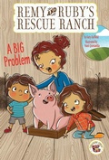 Cover: A Big Problem - Treasure Chest Beginner Chapter Books
