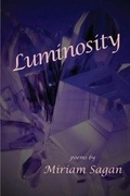 Cover: Luminosity - Duck Lake Books