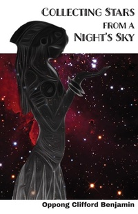 Abbildung von: Collecting Stars from a Night's Sky - Poetic Justice Books & Arts