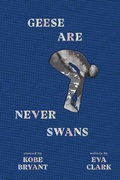 Cover: Geese Are Never Swans - Granity Studios