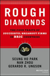Abbildung von: Rough Diamonds - Jossey-Bass