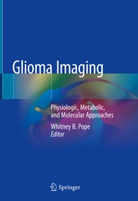 Abbildung von: Glioma Imaging - Springer