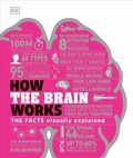 Cover: How the Brain Works - DK