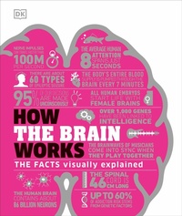 Abbildung von: How the Brain Works - DK
