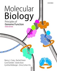 Bild: Molecular Biology - Oxford University Press