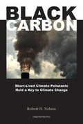 Cover: Black Carbon - Jill Wechsler