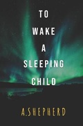 Cover: To Wake A Sleeping Child - Anderson Publishing, LLC