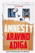 Cover: Amnesty - Picador