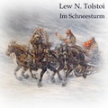 Cover: Im Schneesturm - Hierax Medien