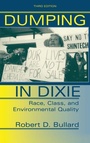 Cover: Dumping In Dixie - Routledge