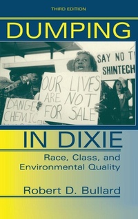Enlarge image Cover: Dumping In Dixie - Routledge