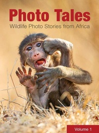 Abbildung von: Photo Tales - HPH Publishing