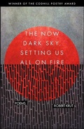 Cover: The Now Dark Sky, Setting Us All On Fire - Codhill Press