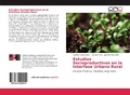 Cover: Estudios Socioproductivos en la Interfase Urbano Rural - Editorial Acad&eacute;mica Espa&ntilde;ola