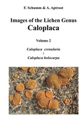 Cover: Images of the Lichen Genus Caloplaca, Vol 2 - BoD - Books on Demand