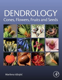 Abbildung von: Dendrology: Cones, Flowers, Fruits and Seeds - Academic Press