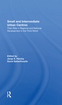 Cover: Small And Intermediate Urban Centres - Routledge