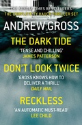 Cover: Andrew Gross 3-Book Thriller Collection 1 - HarperCollins