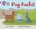 Cover: Dog Rocks! - Collins Educational