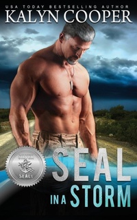 Enlarge image Cover: SEAL in a Storm - Black Swan Publishing, LLC